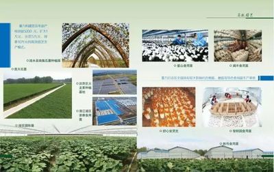 淮安农业硕果累累!数百种优质农产品周五亮相南京,欢迎来选购!